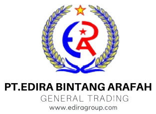 Logo EDIRA TRANSPARENT
